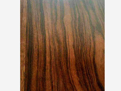 咱们来讲说扦播枝条